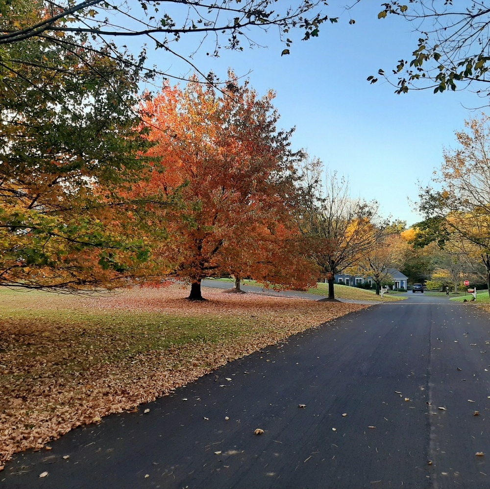 Meet your Posher, Dorinda